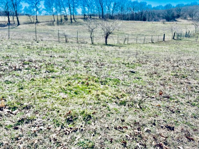 11 S Dade 203, Everton, MO 65646