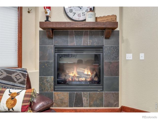 339 Meadowsweet Circle, Loveland, CO 80537