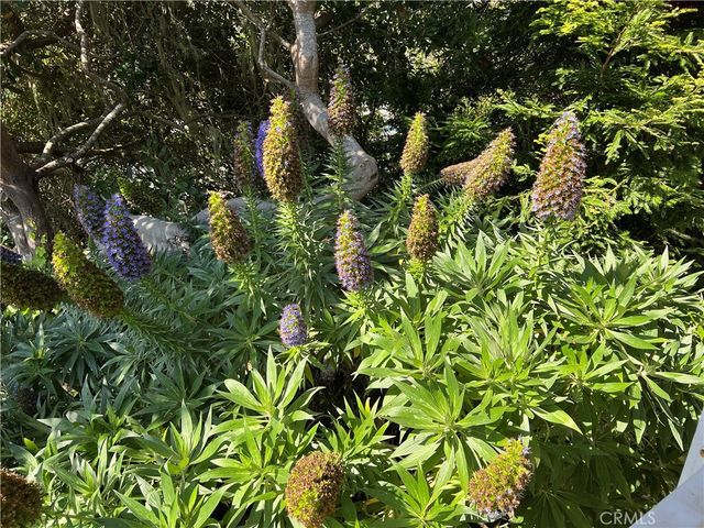 1226 Main Street 14, Cambria, CA 93428