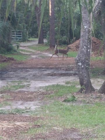 1751 S Palm Avenue, Homosassa, FL 34448