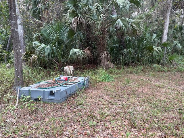 1751 S Palm Avenue, Homosassa, FL 34448