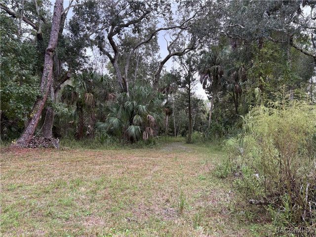 1751 S Palm Avenue, Homosassa, FL 34448