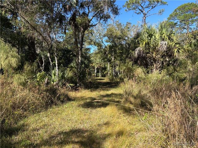 1751 S Palm Avenue, Homosassa, FL 34448