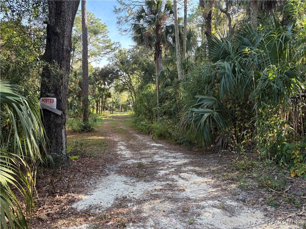 1751 S Palm Avenue, Homosassa, FL 34448