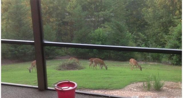 250 Summit Drive, Blairsville, GA 30512