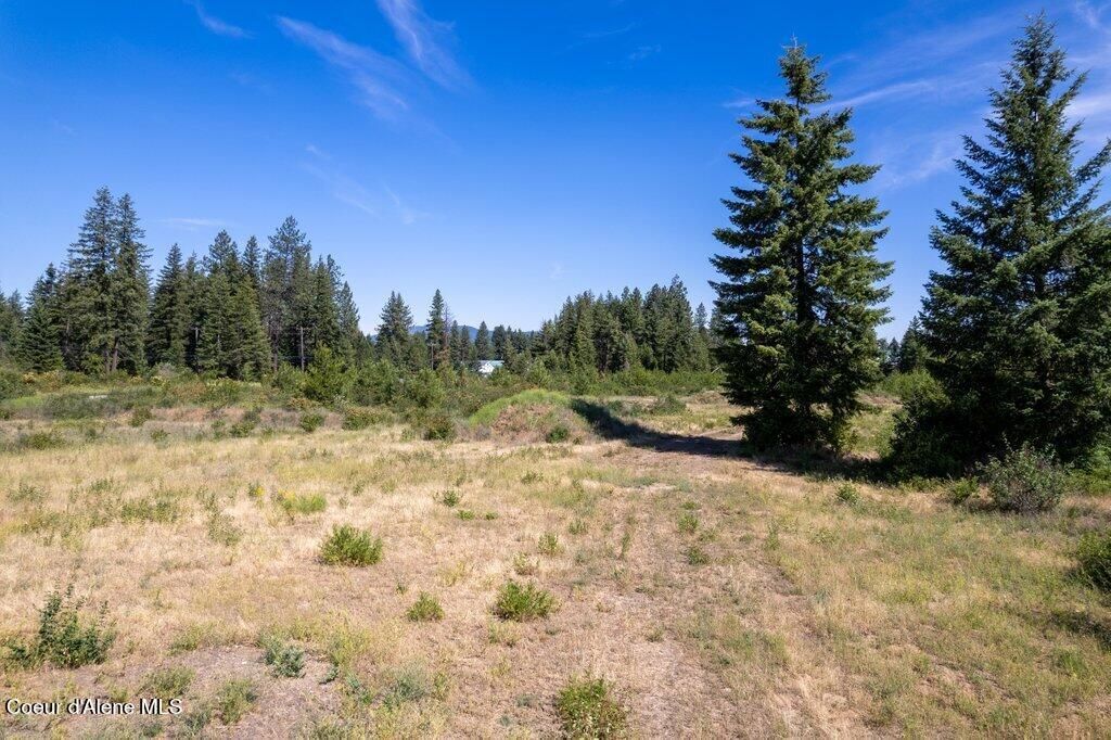 NNA Highway 41, Spirit Lake, ID 83869 photo 10