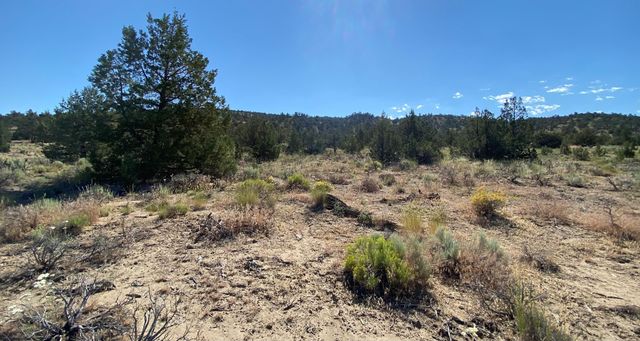 SW Hat Rock Loop, Powell Butte, OR 97753