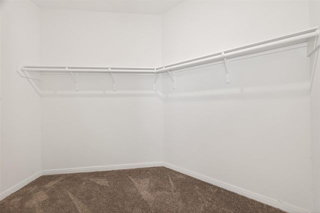 4906 Hickory Deer Lane, Richmond, TX 77406