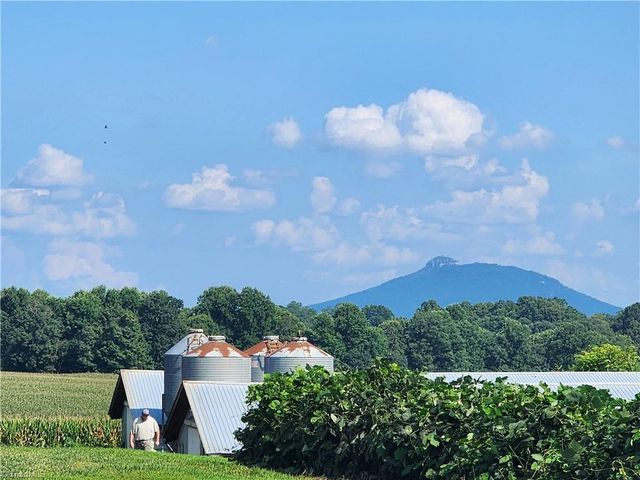 167 Buck Hollow Trail, Ararat, NC 27007