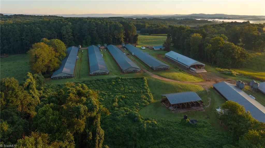 167 Buck Hollow Trail, Ararat, NC 27007