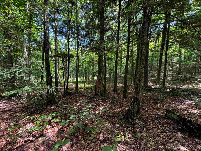 00 Quarry Road, Chester, VT 01543