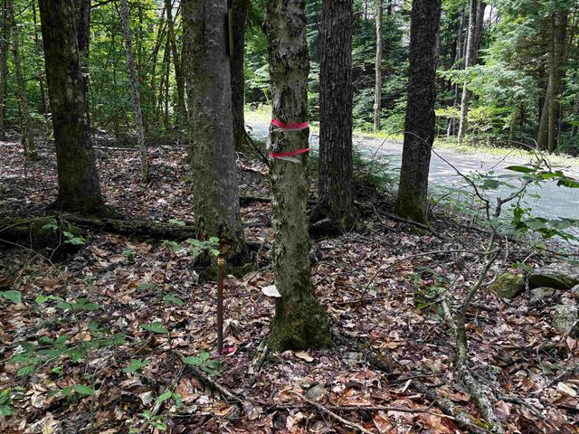 00 Quarry Road, Chester, VT 01543