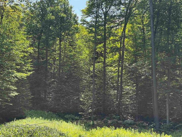 00 Quarry Road, Chester, VT 01543