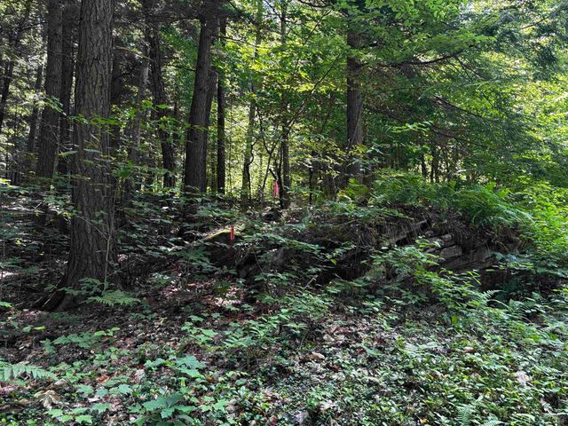00 Quarry Road, Chester, VT 01543
