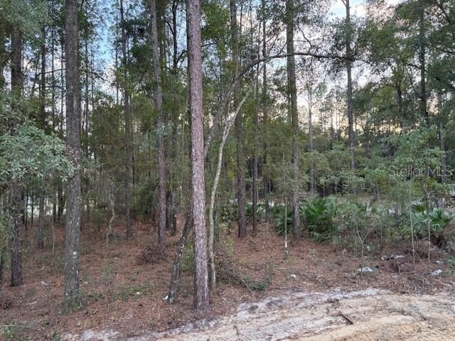 13056 SW 64TH LANE, Ocala, FL 34481