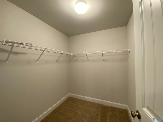 158 Abercorn Drive, Madison, AL 35756