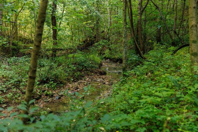 7365 Coldwater Rd, Fairview, TN 37062