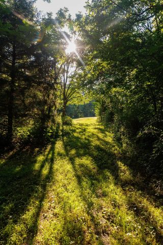 7365 Coldwater Rd, Fairview, TN 37062