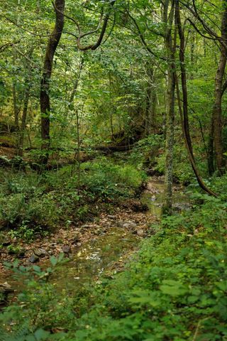 7365 Coldwater Rd, Fairview, TN 37062