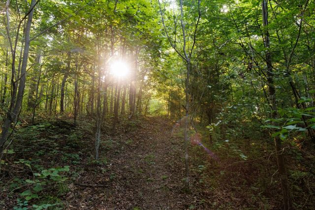 7365 Coldwater Rd, Fairview, TN 37062
