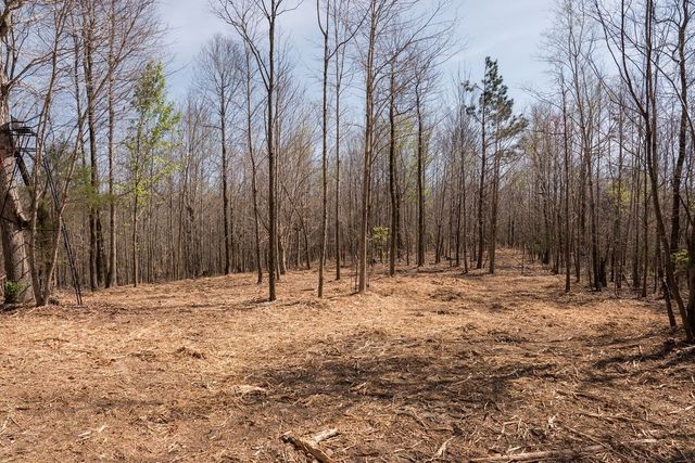 7365 Coldwater Rd, Fairview, TN 37062