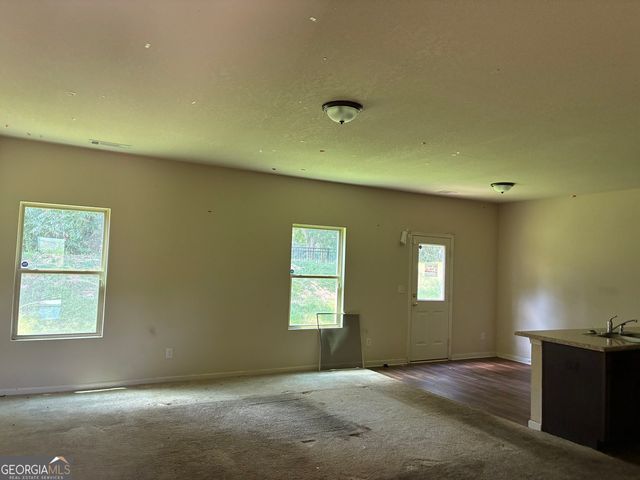 10990 Wheeler Trace, Hampton, GA 30228