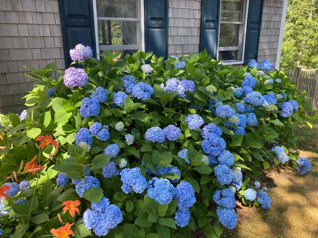 38 Shorewood Drive, Orleans, MA 02653