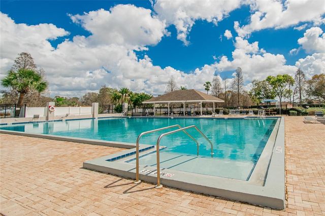 11203 LONGBROOKE DRIVE, Riverview, FL 33579