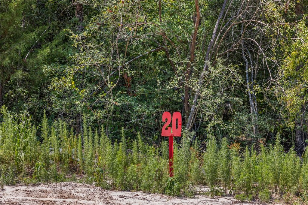 Lot #20 Sunny James Lane, Franklin, TX 77856 — photo 3