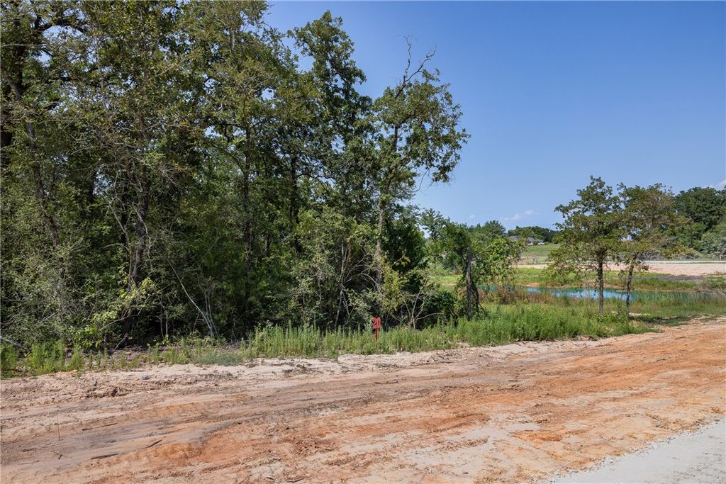 Lot #20 Sunny James Lane, Franklin, TX 77856 — photo 4