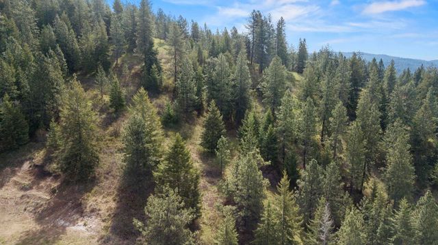 N Rockspring Ln, Mead, WA 99021