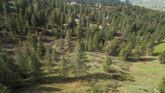 N Rockspring Ln, Mead, WA 99021