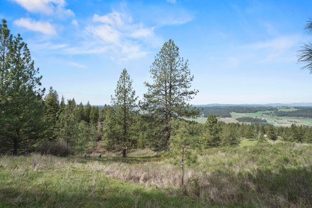 N Rockspring Ln, Mead, WA 99021