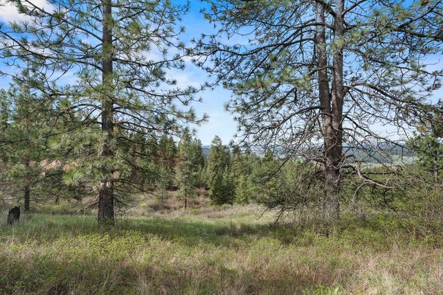 N Rockspring Ln, Mead, WA 99021