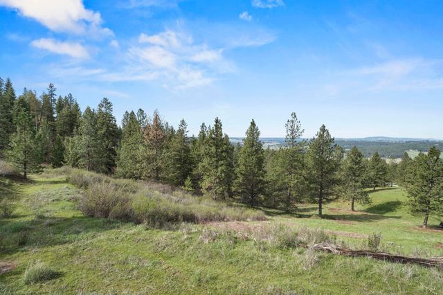 N Rockspring Ln, Mead, WA 99021