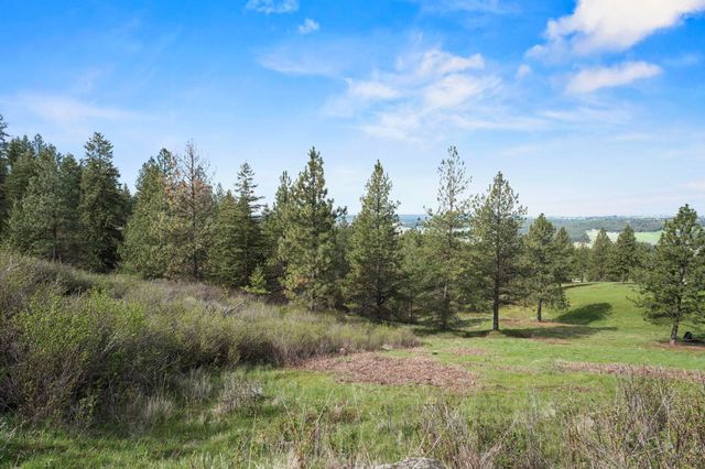 N Rockspring Ln, Mead, WA 99021