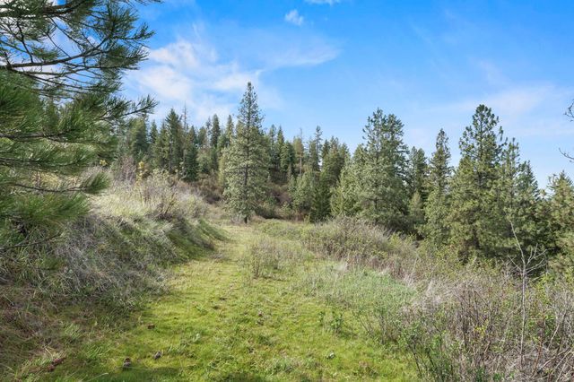 N Rockspring Ln, Mead, WA 99021