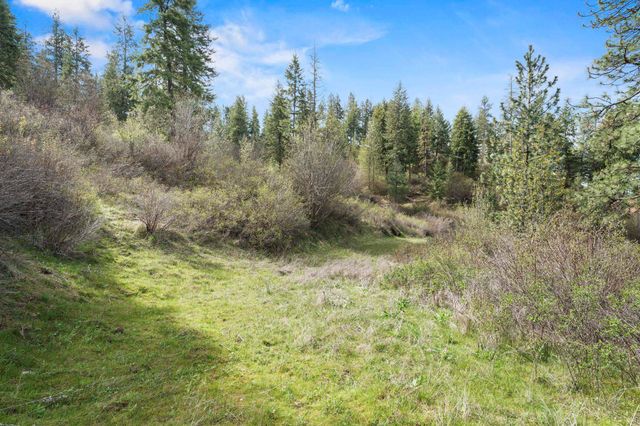 N Rockspring Ln, Mead, WA 99021