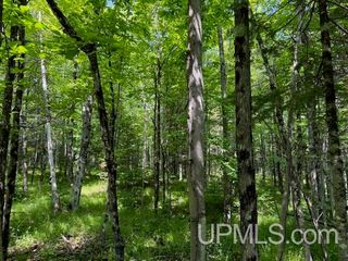 TBD First Crossing Road, Florence T-wi, WI 54121