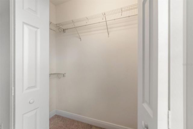 11618 CROWNED SPARROW LANE, Tampa, FL 33626