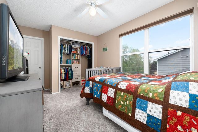 5729 Wagonwheel Trail, Castle Rock, CO 80104