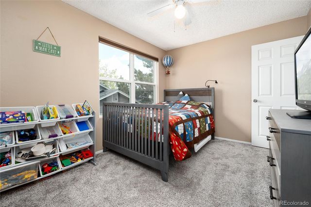 5729 Wagonwheel Trail, Castle Rock, CO 80104