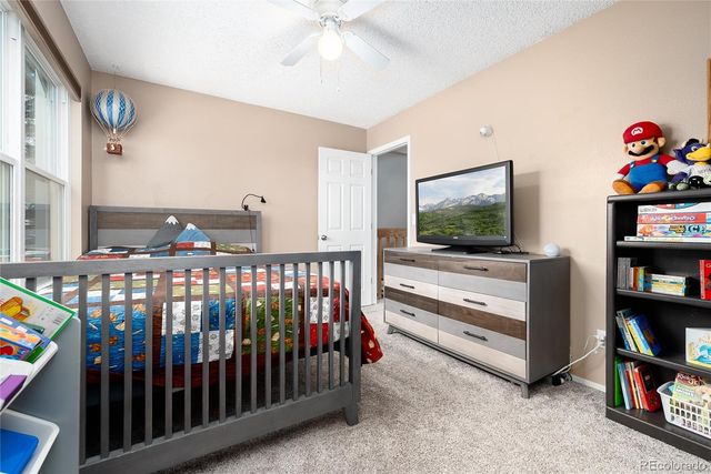 5729 Wagonwheel Trail, Castle Rock, CO 80104