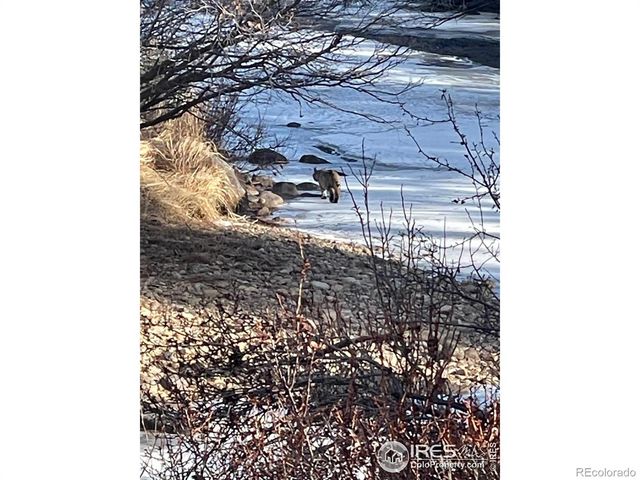 1475 Lower Broadview Road, Estes Park, CO 80517