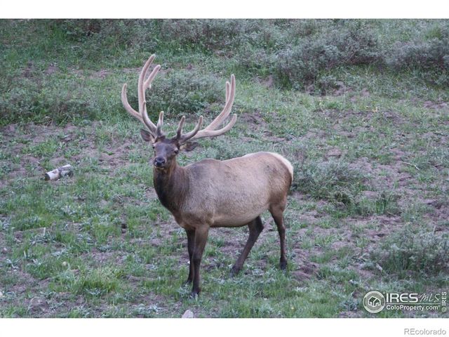 1475 Lower Broadview Road, Estes Park, CO 80517