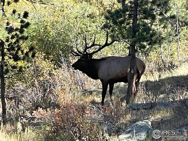 1475 Lower Broadview Road, Estes Park, CO 80517