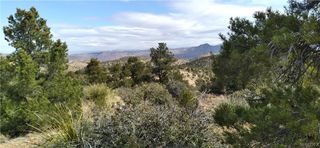 TBD E E. Mountain Springs Road, Hackberry, AZ 86411