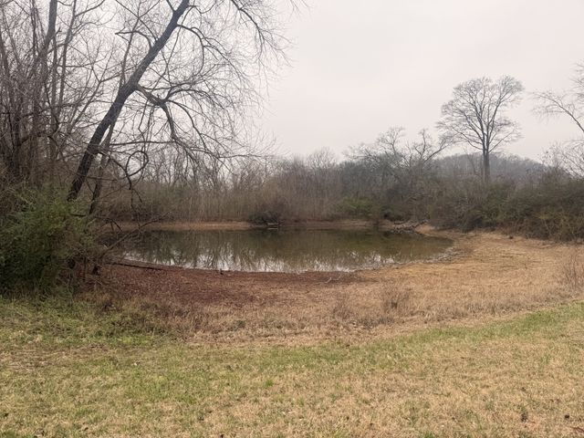 1041 Sandy Valley Rd, Hendersonville, TN 37075