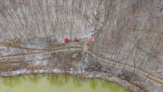 1922 Star Gap Road, Stanton, KY 40380