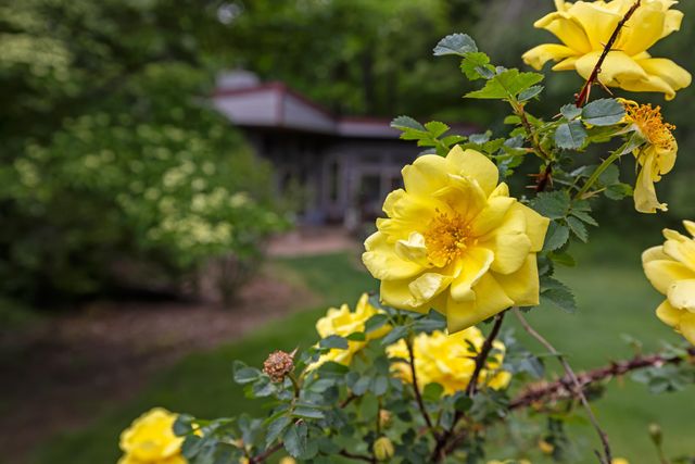 7598 N LEE HWY, Raphine, VA 24472